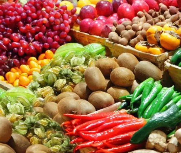 legumes-verduras-hortalicas-vegetais-vegetariano-reino