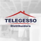 Telegesso | Logo