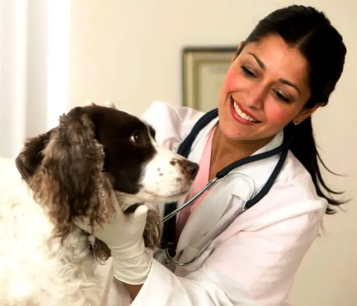 pet shop em sorocaba zona oeste