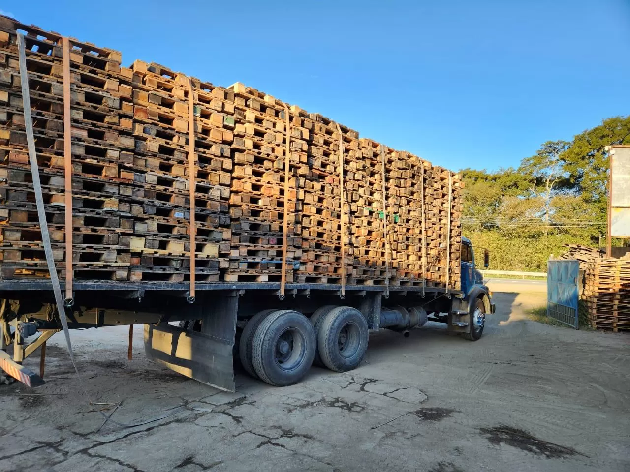C.S Pallet | Galeria