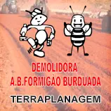 logo-terraplanagem-demolidora-abelhao-formigao-ribeirao-preto